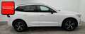 Volvo XC60 B5 B R-DESIGN MEMORY+AHK+KAMERA+GOOGLE+LED+ Blanc - thumbnail 5