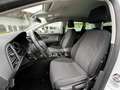 SEAT Leon Style ST 1.5 TGI DSG CNG Erdgas LED ACC Kamera AHK Weiß - thumbnail 4