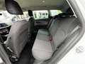 SEAT Leon Style ST 1.5 TGI DSG CNG Erdgas LED ACC Kamera AHK Weiß - thumbnail 19