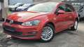 Volkswagen Golf 1.2 TSI Cup BMT*Klimaaut*16 Zoll*SH*AUX*USB*PDC Rojo - thumbnail 2