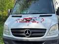 Mercedes-Benz Sprinter 209 CDI 906.613 - thumbnail 2