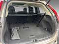 Volvo XC90 T8 Plus Bright AWD H&K Pano Kamera 7-Sitzer Gold - thumbnail 12