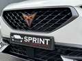 CUPRA Formentor VZ 1.4 e-Hybrid DSG (245pk) | Navi | Cam | Trekh. Wit - thumbnail 28