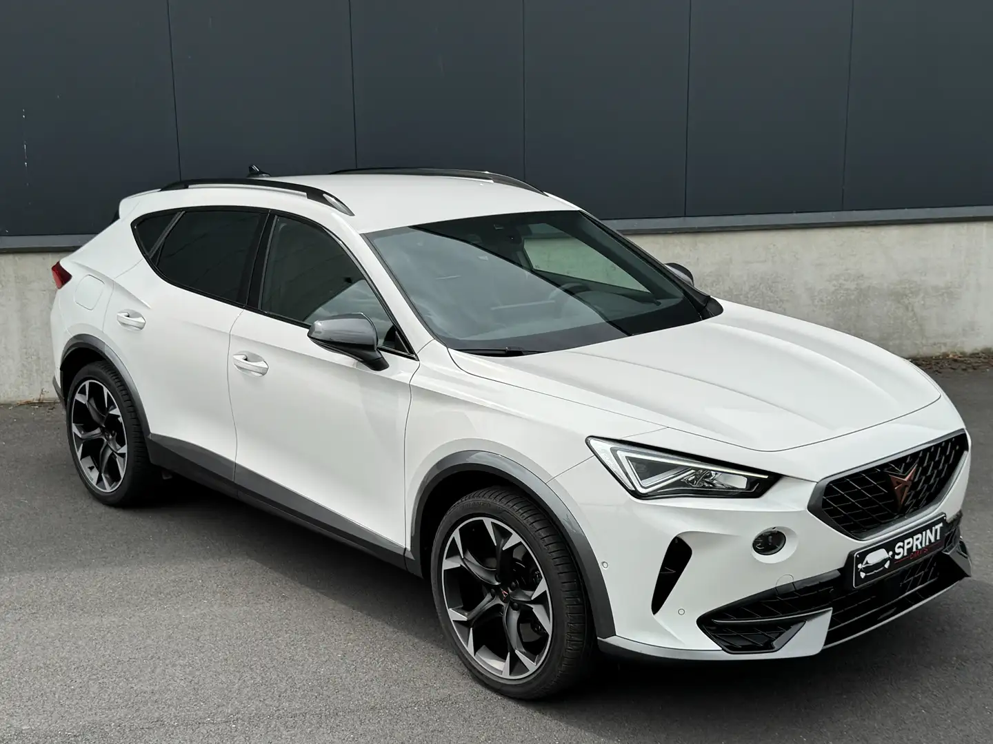 CUPRA Formentor VZ 1.4 e-Hybrid DSG (245pk) | Navi | Cam | Trekh. Wit - 1