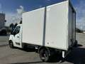 Renault Master CELLA FRIGO -20 MOTORE FUSO Bianco - thumbnail 5