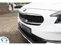 Kia XCeed 120 PK ACTIVE BUSINESS MY 22 NAVI/LANE KEEP/... Wit - thumbnail 22