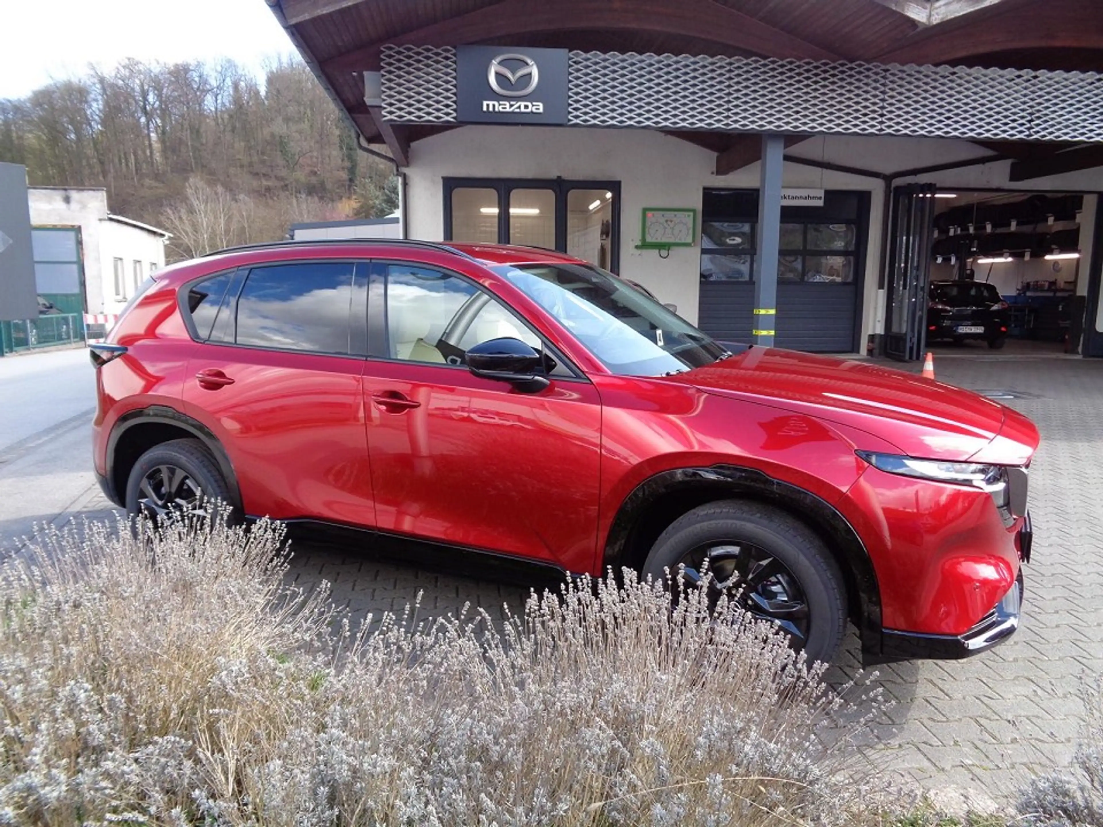 Mazda CX-5 2.5L e-SKYACTIV G 141ps 6AT AWD Homura TLOP — photo 8