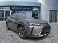 Lexus UX 250h AHK*ACC*KAM*DAB*SHZ Grau - thumbnail 8