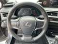 Lexus UX 250h AHK*ACC*KAM*DAB*SHZ Grau - thumbnail 13