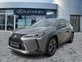 Lexus UX 250h AHK*ACC*KAM*DAB*SHZ Grau - thumbnail 2