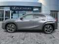 Lexus UX 250h AHK*ACC*KAM*DAB*SHZ Grau - thumbnail 4