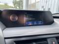 Lexus UX 250h AHK*ACC*KAM*DAB*SHZ Grau - thumbnail 14