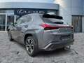 Lexus UX 250h AHK*ACC*KAM*DAB*SHZ Grau - thumbnail 6