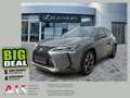 Lexus UX 250h AHK*ACC*KAM*DAB*SHZ Grau - thumbnail 1