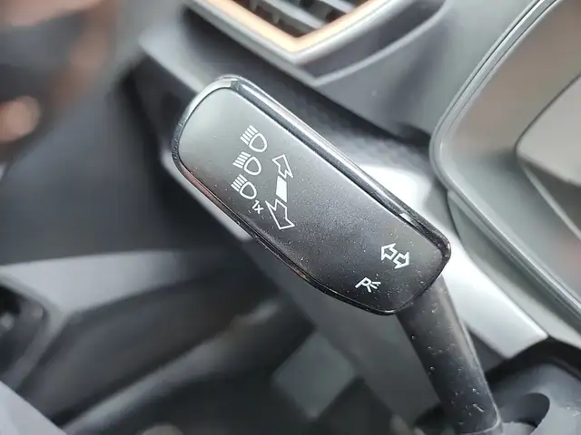Cupra Leon view 12