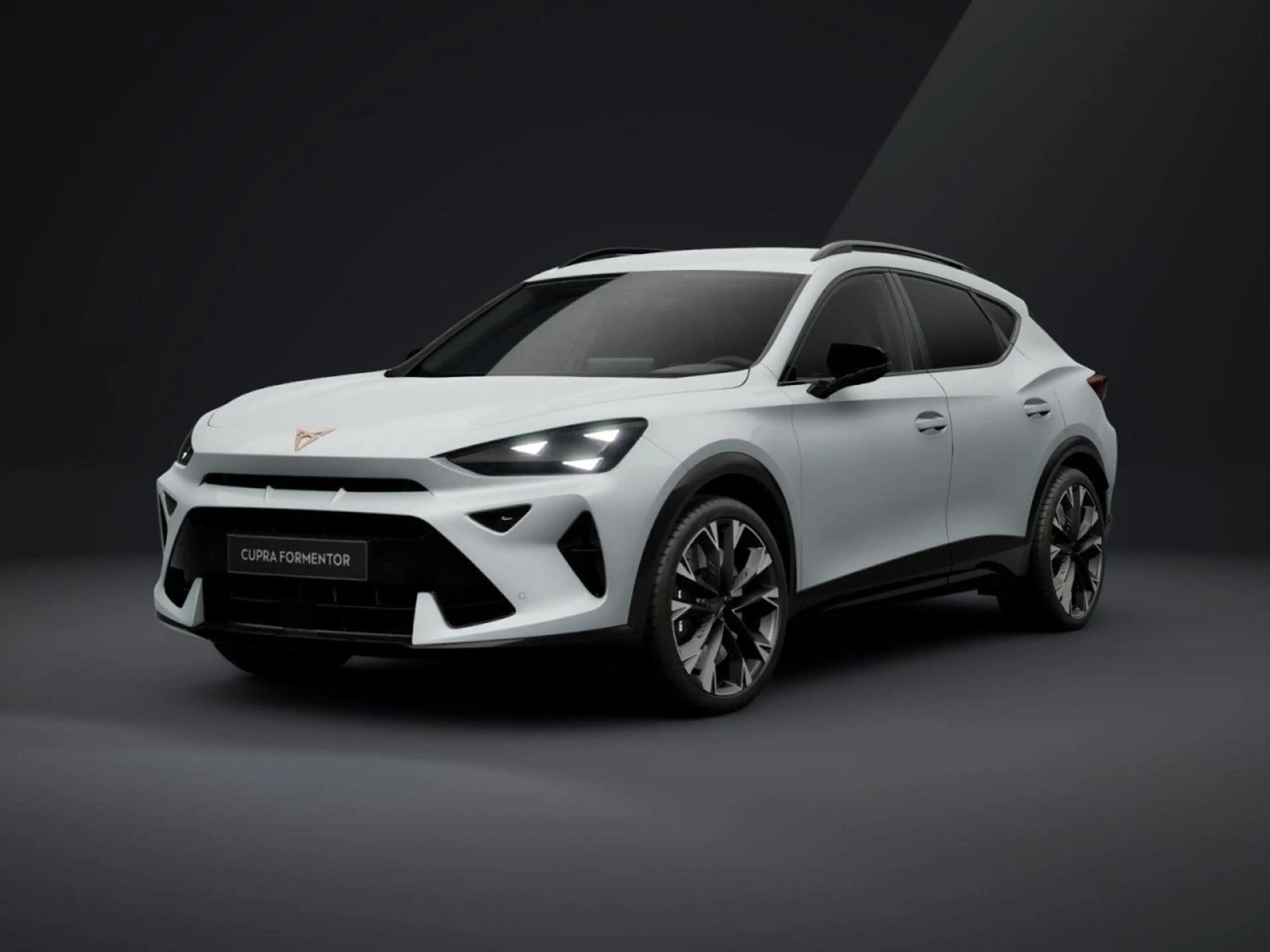 CUPRA Formentor VZ TSI DSG 4Drive AHK Matrix Navi — photo 2