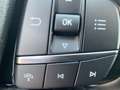 Ford Kuga Titanium PHEV ACC+AHK+LED+Navi Grau - thumbnail 19
