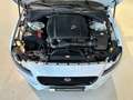 Jaguar XF Sportbrake 2.0d R-Sport *Black Pack,Kamera* Weiß - thumbnail 13