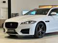 Jaguar XF Sportbrake 2.0d R-Sport *Black Pack,Kamera* Weiß - thumbnail 6