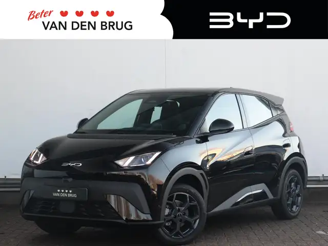 BYD Dolphin Surf