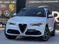 Alfa Romeo Stelvio 2.2 Turbo Diesel Super Q4 210CV TETTO PELLE ROSSA Blanc - thumbnail 15