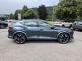 CUPRA Formentor VZ 2.0 TSI 4Drive DSG Beats Top View AHK Gris - thumbnail 7