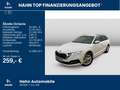 Skoda Octavia Combi 1.4 TSI DSG iV Ambition AHK LED Weiß - thumbnail 2