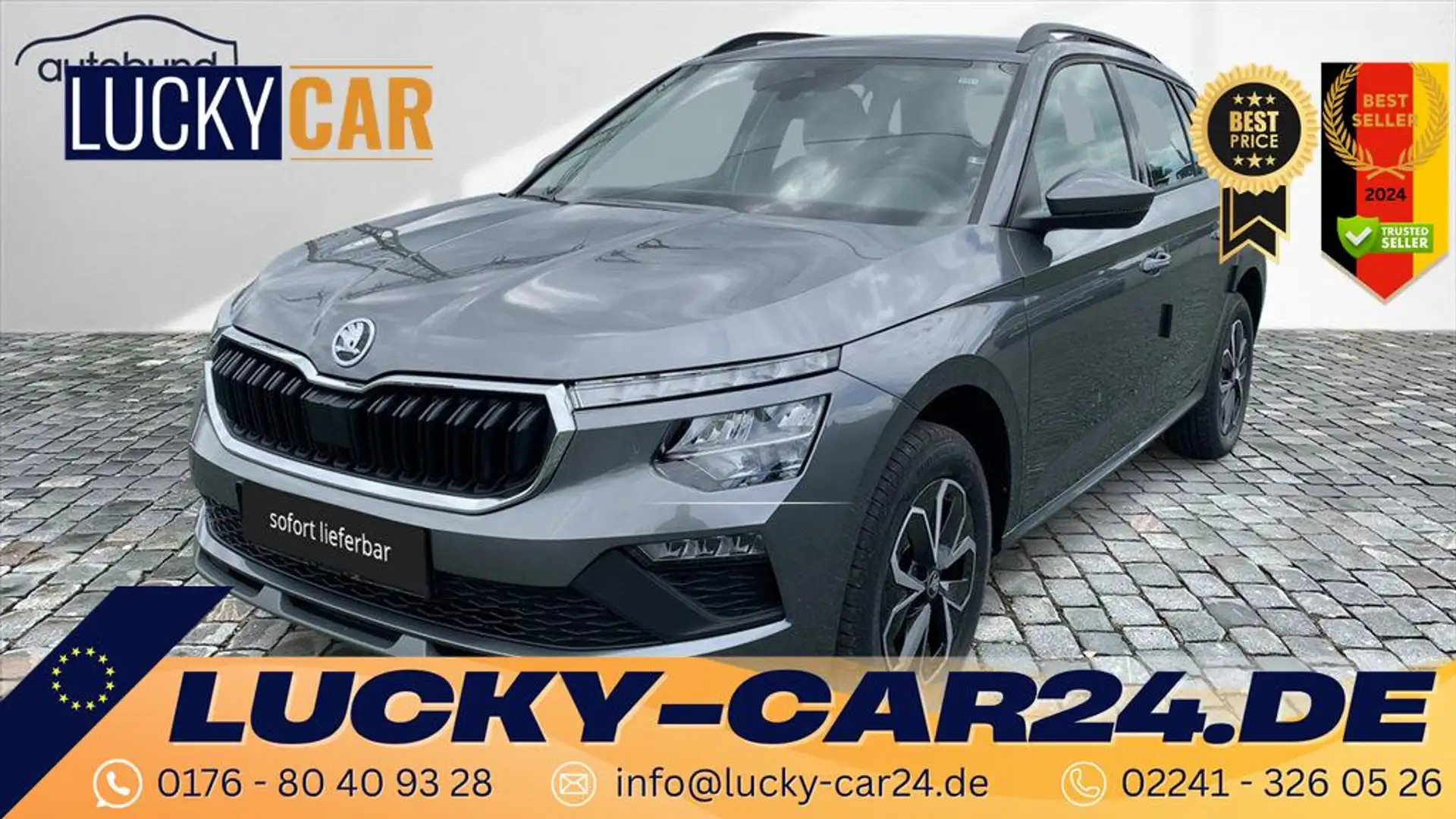 Skoda Kamiq 130 JAHRE 1,0 TSI DAB LED Kamera Sitzheizung 70... Grau - 1