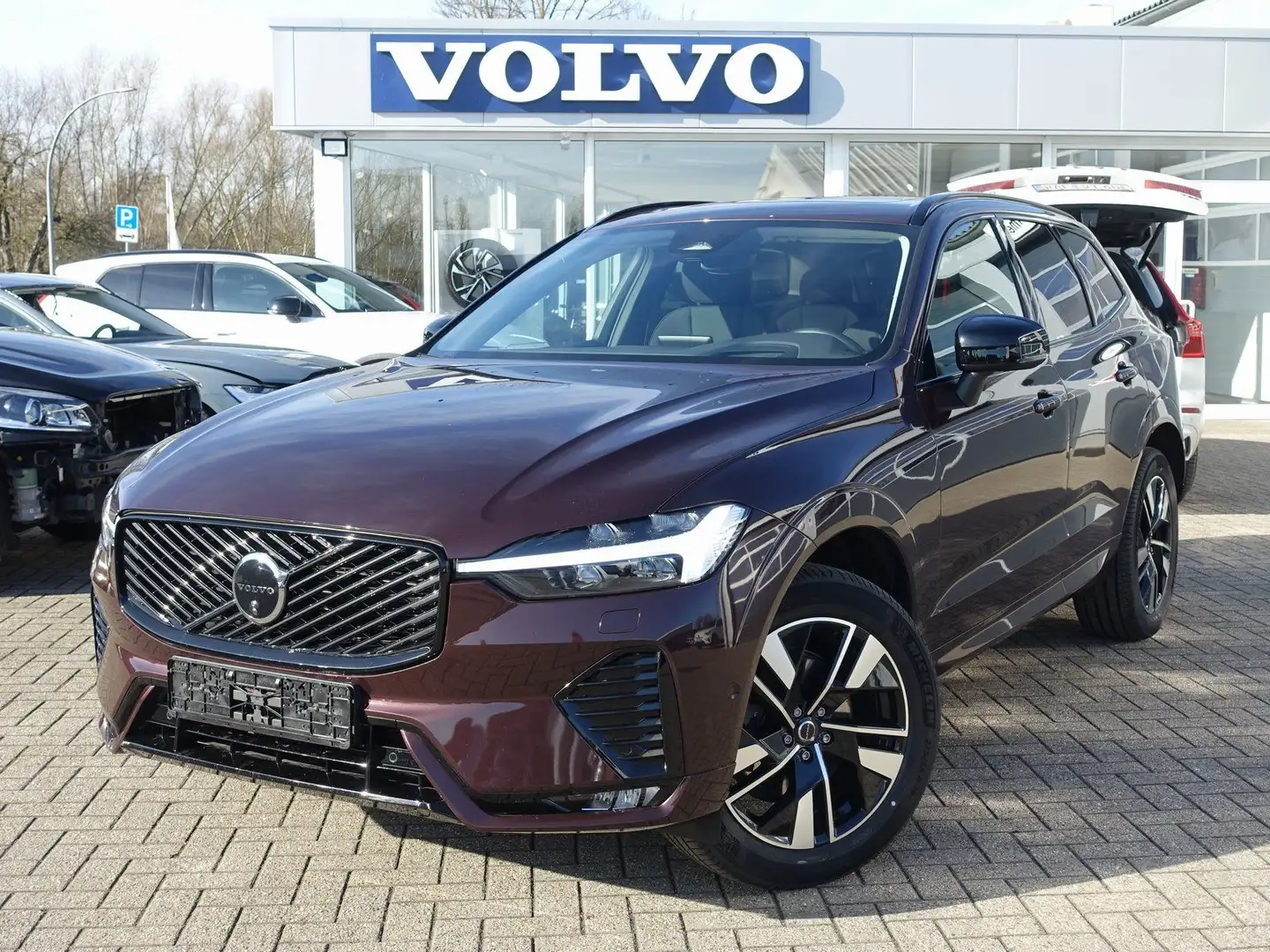 Volvo XC60 MJ26! Plus Dark B5 AWD/Pano/HeadUP/360°/H&K Rouge - 1