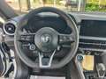 Alfa Romeo Tonale 1.6 diesel 130 CV TCT6 Super Weiß - thumbnail 14
