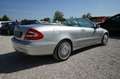 Mercedes-Benz CLK 500 Cabriolet Aut. |Navi| |Bi-Xenon| |Leder| Plateado - thumbnail 7