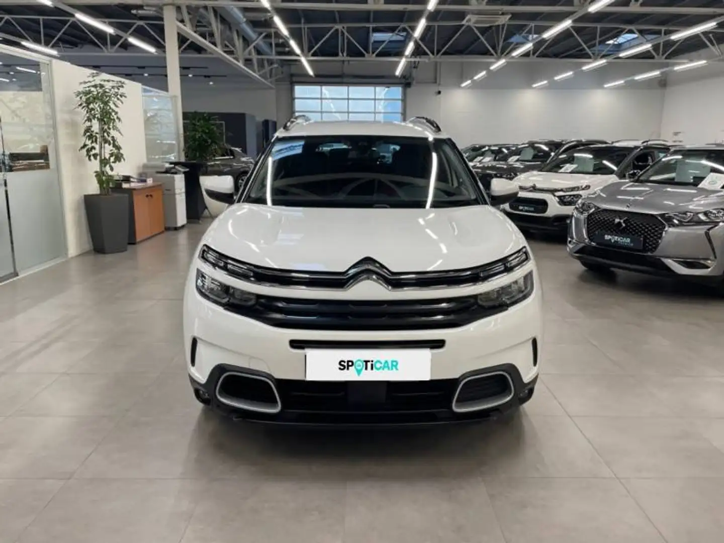 Citroen C5 Aircross 1 1.5 BlueHDi 130 S&S MAN6 Feel Wit - 2