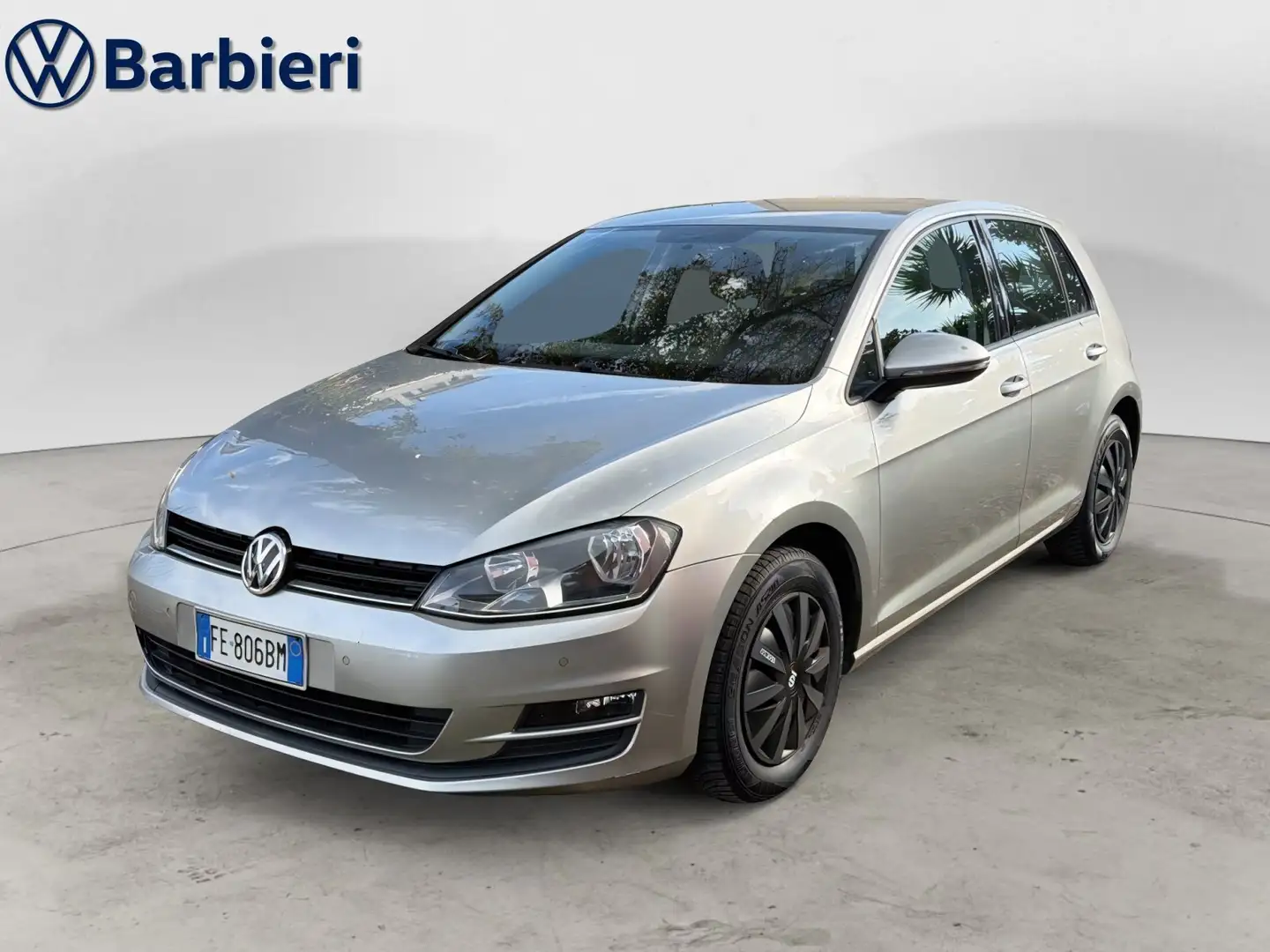 Volkswagen Golf Golf 1.6 TDI 90 CV 5p. Trendline BlueMotion Techn Zilver - 1