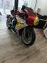 MV Agusta Superveloce 800 Rouge - thumbnail 7