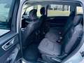 Ford S-Max S-MAX Business Kamera CarPlay AHK 8-Fach bereift Argent - thumbnail 14