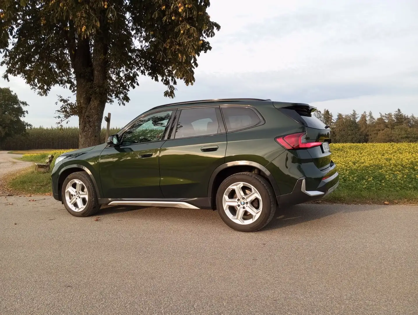 BMW X1 23 d xDrive xLine Vert - 2