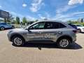 Ford Kuga 2.5 Plug In Hybrid 243 CV CVT 2WD Titanium Grigio - thumbnail 7