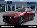 Mazda CX-30 SKYACTIV-X 2.0 M Hybrid Edition 100 Rot - thumbnail 1