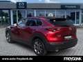 Mazda CX-30 SKYACTIV-X 2.0 M Hybrid Edition 100 Rot - thumbnail 3