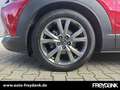 Mazda CX-30 SKYACTIV-X 2.0 M Hybrid Edition 100 Rot - thumbnail 7