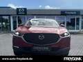 Mazda CX-30 SKYACTIV-X 2.0 M Hybrid Edition 100 Rot - thumbnail 5
