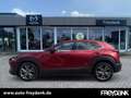Mazda CX-30 SKYACTIV-X 2.0 M Hybrid Edition 100 Rot - thumbnail 2