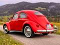 Volkswagen Käfer Export Ovali 1957 Rot - thumbnail 10