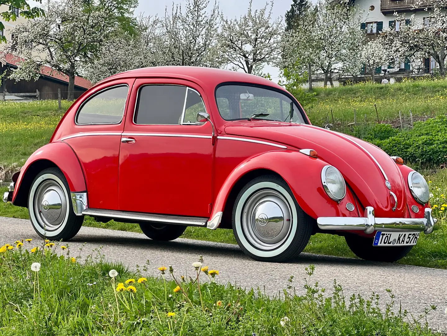 Volkswagen Käfer Export Ovali 1957 Rouge - 2
