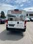Peugeot Boxer Kasten Hochraum 435 L4H2 Pro Avantage Plus Blanc - thumbnail 4