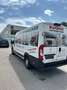 Peugeot Boxer Kasten Hochraum 435 L4H2 Pro Avantage Plus Blanc - thumbnail 5