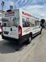 Peugeot Boxer Kasten Hochraum 435 L4H2 Pro Avantage Plus Blanc - thumbnail 6
