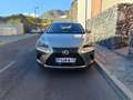 Lexus NX 300h NX 300h Business 2WD Business Plateado - thumbnail 11