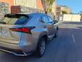 Lexus NX 300h NX 300h Business 2WD Business Plateado - thumbnail 15