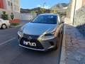 Lexus NX 300h NX 300h Business 2WD Business Plateado - thumbnail 17